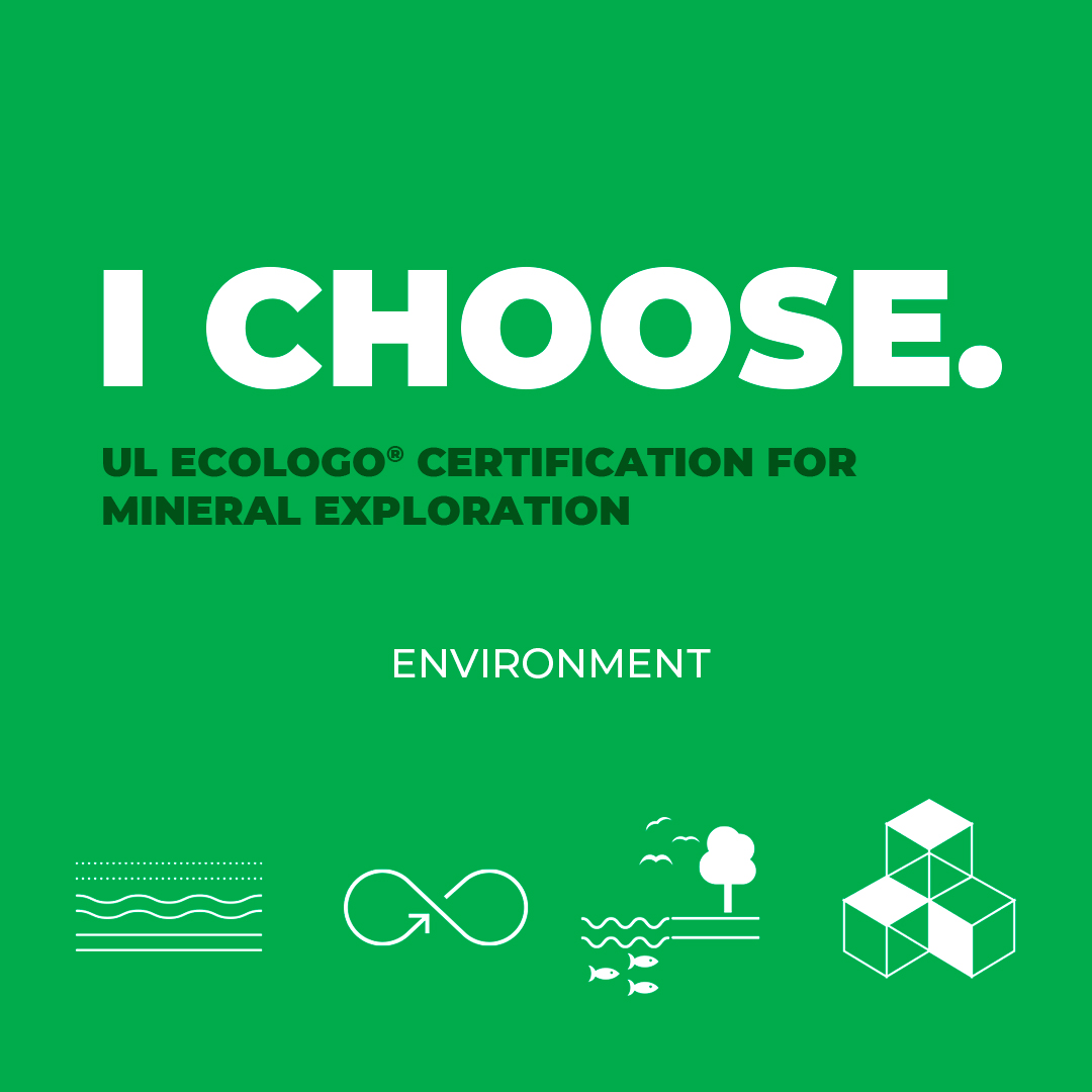 I Choose - Environment