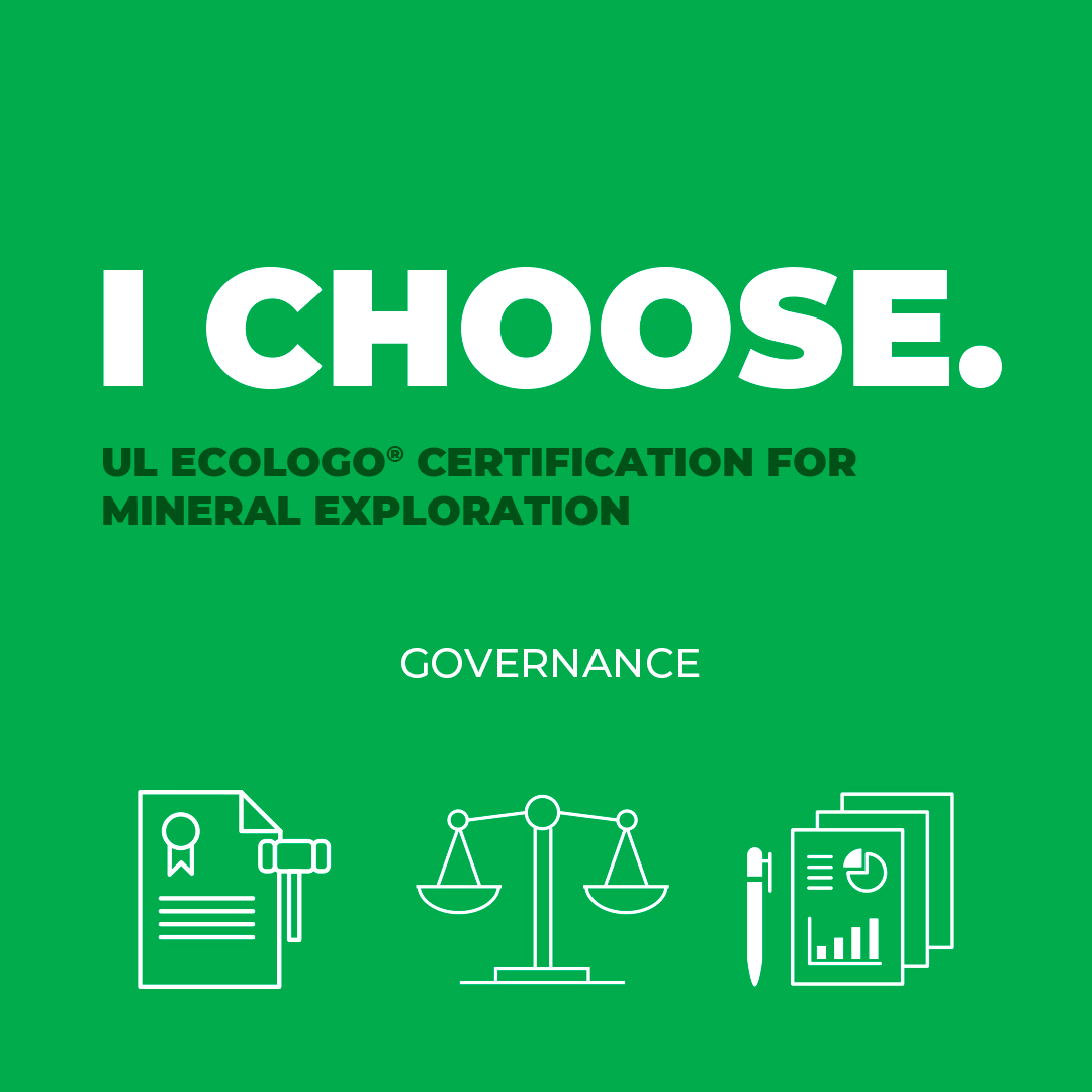 I Choose - Governance
