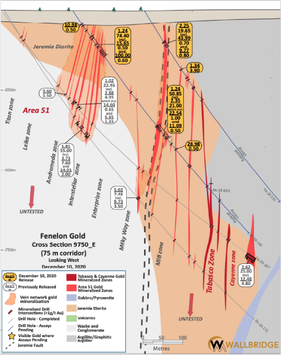 Figure 3. Fenelon Gold, Cross Section 9750_E