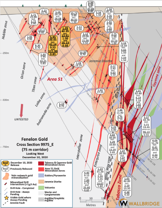 Figure 4. Fenelon Gold, Cross Section 9975_E
