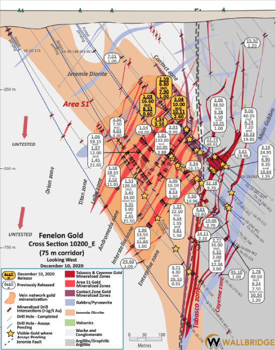Figure 5. Fenelon Gold, Cross Section 10200_E